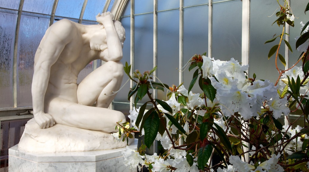 Botanische tuinen bevat bloemen, een standbeeld of beeldhouwwerk en een park