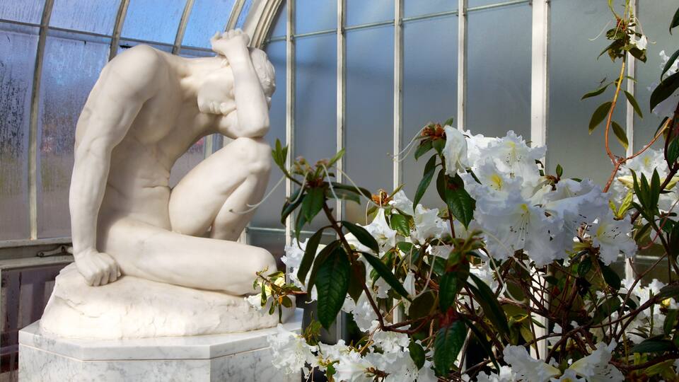 Botanic Gardens which includes a garden, interior views and art