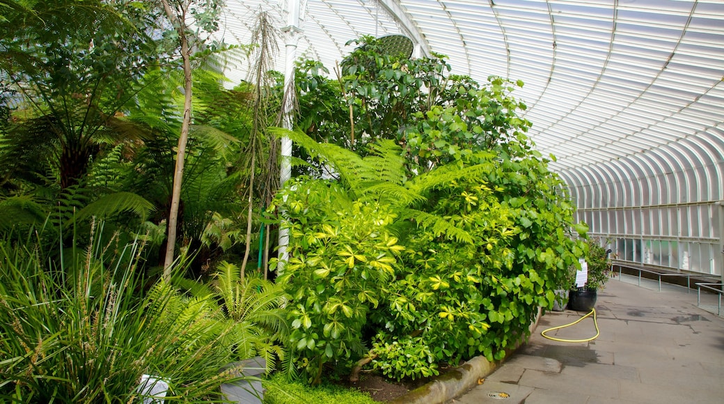 Botanische tuinen toont een tuin en interieur