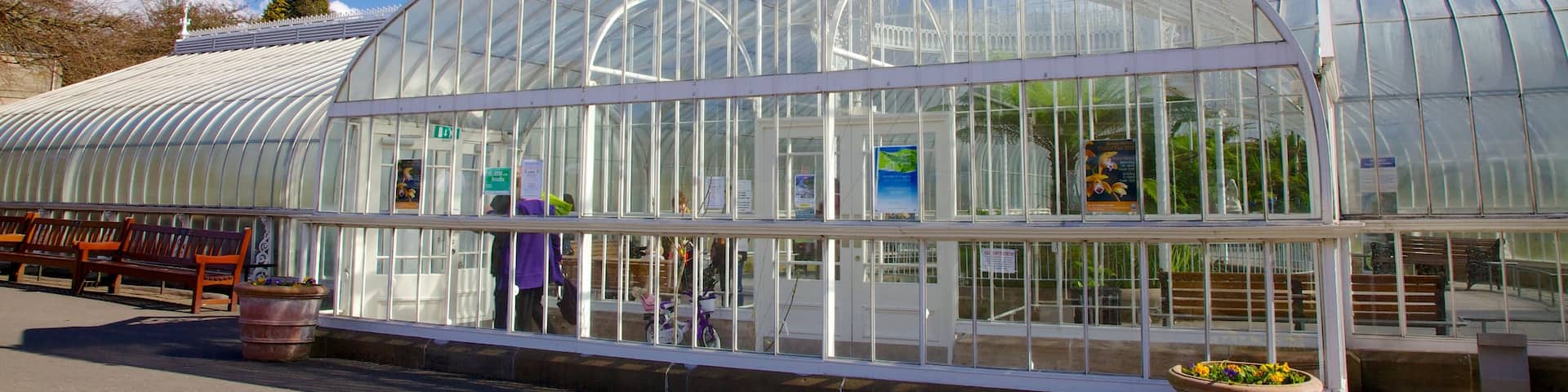 Botanic Gardens showing a garden