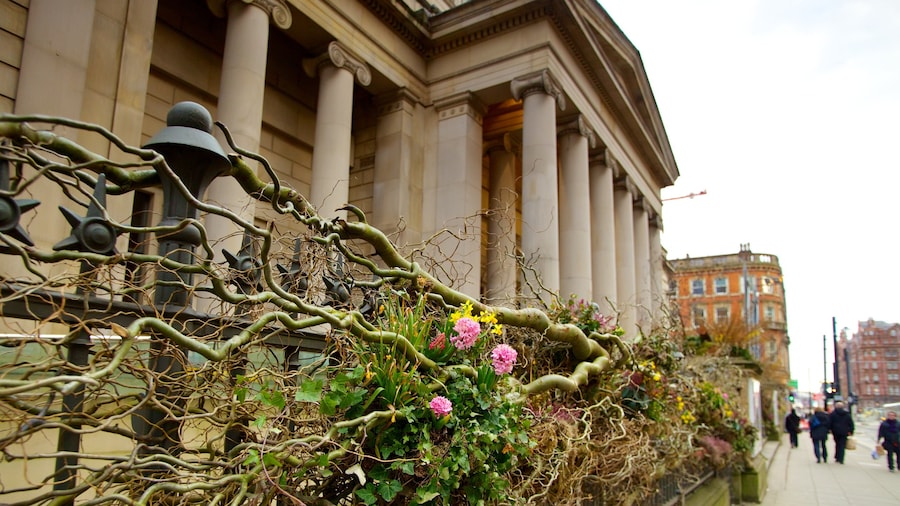 Manchester Art Gallery showing flowers, street scenes and a city