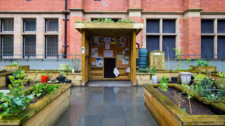Manchester Museum