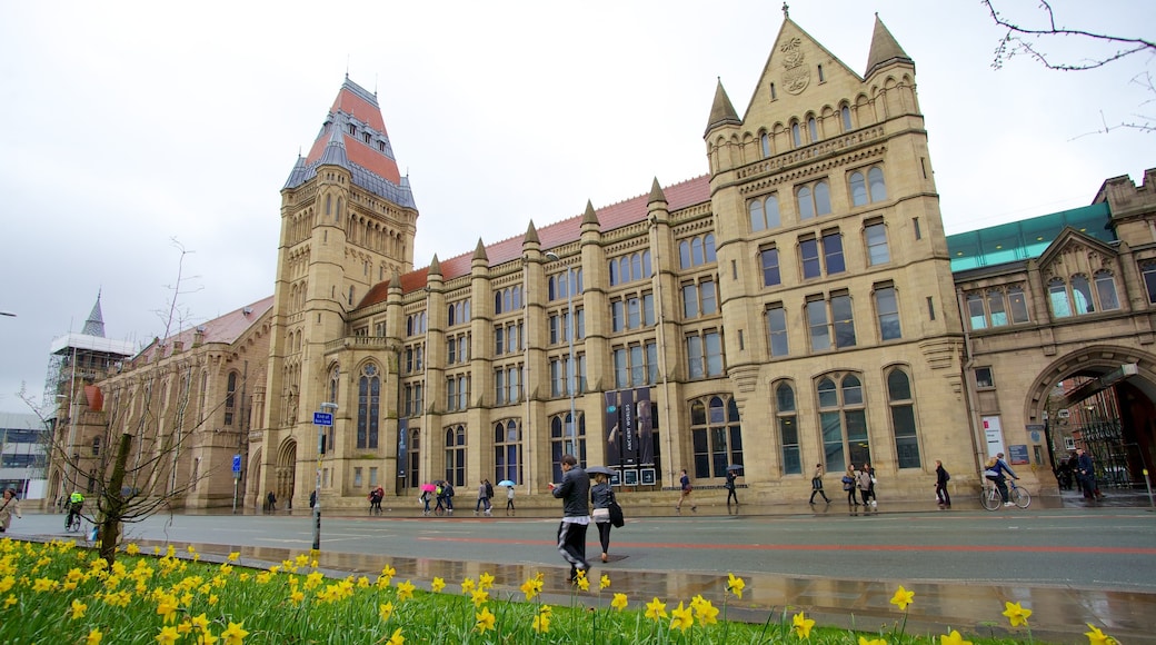 Manchester Museum featuring street scenes, heritage architecture and a city