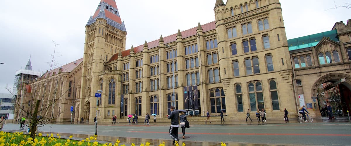Manchester Museum which includes street scenes, heritage architecture and a city