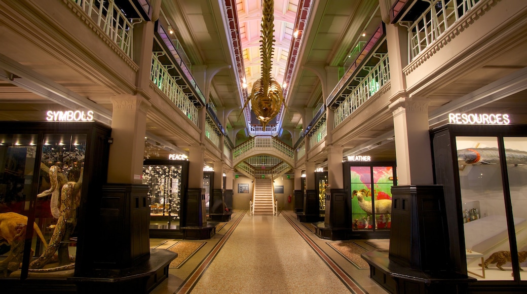 Manchester Museum ofreciendo vistas de interior