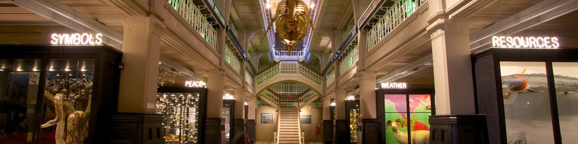 Manchester Museum showing interior views