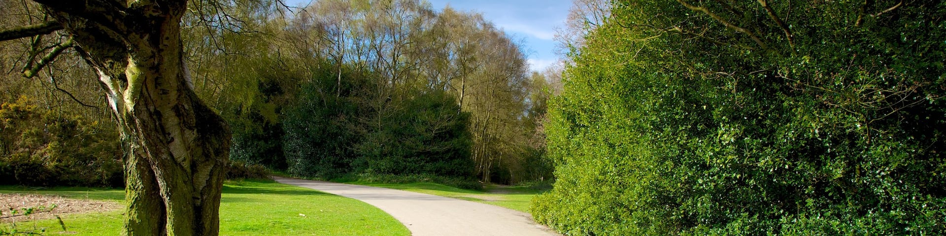 Sutton Park which includes landscape views and a garden