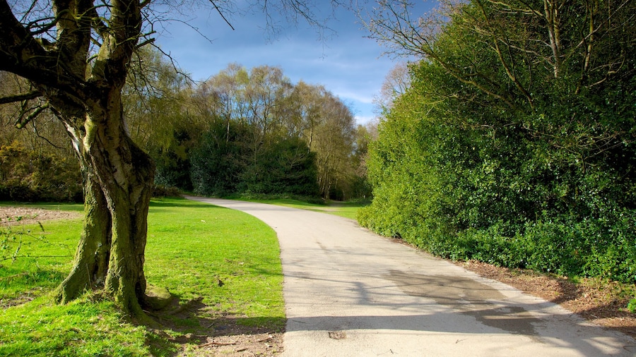 Sutton Park which includes landscape views and a garden