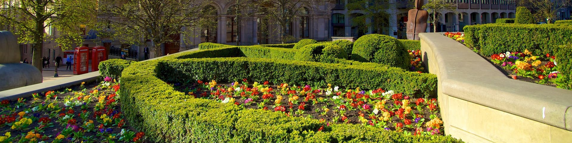 Victoria Square featuring a square or plaza, flowers and heritage architecture