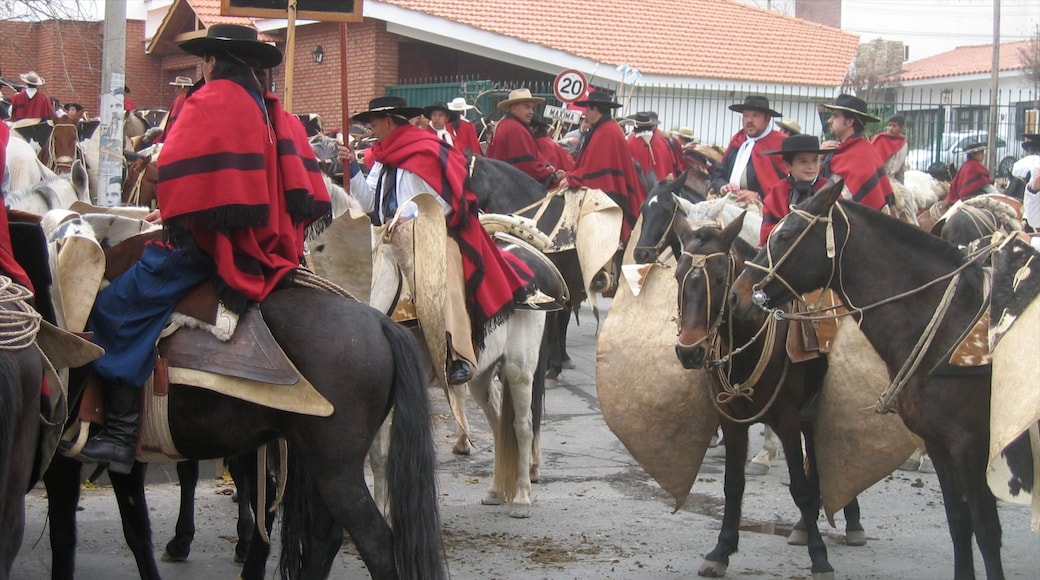 Salta que inclui cenas de rua, animais terrestres e cavalgada