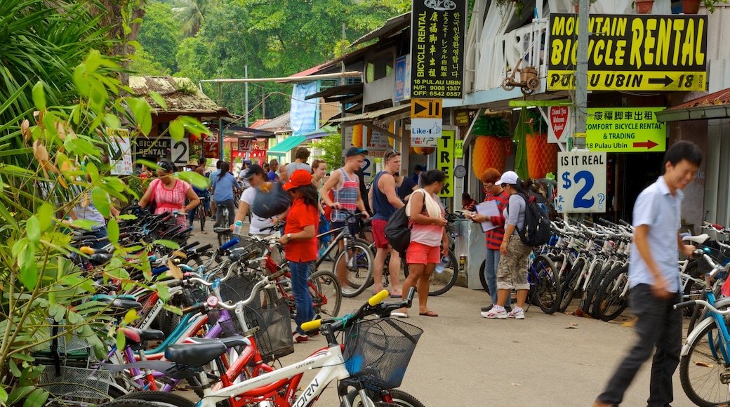 Pulau Ubin mostrando piccola città o villaggio, segnaletica e strade