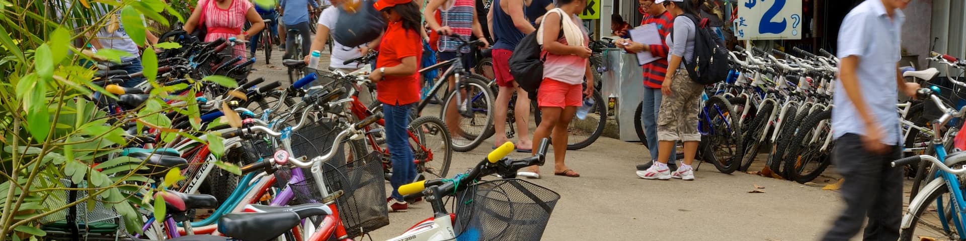 Pulau Ubin featuring shopping, a small town or village and signage