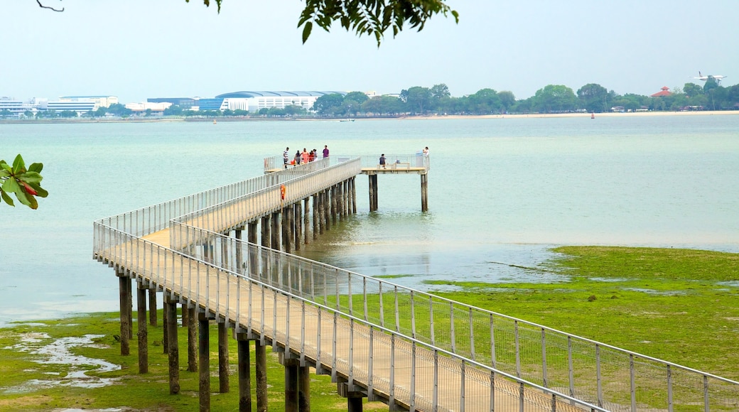 Pulau Ubin có tính năng cảnh bờ biển và quang cảnh