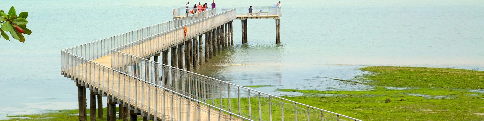 Pulau Ubin showing views and general coastal views