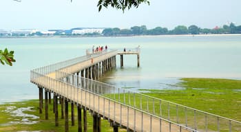 Pulau Ubin showing general coastal views and views