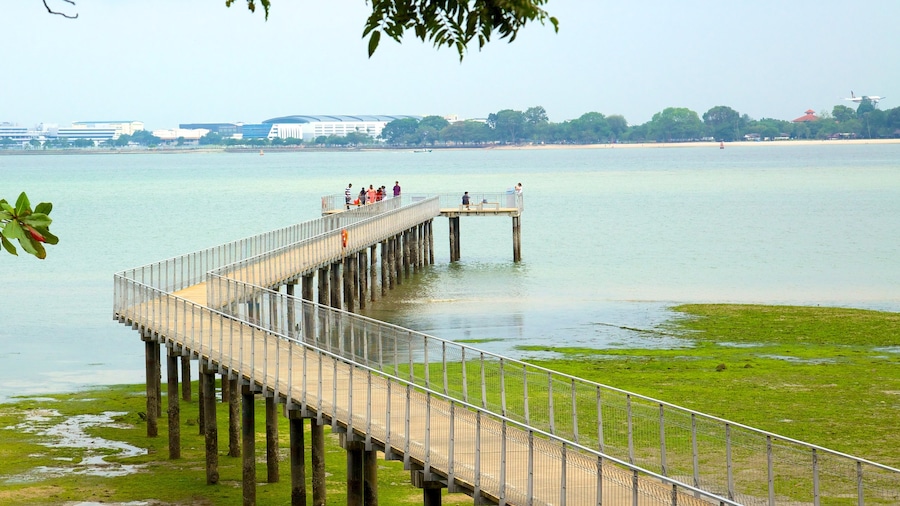 Pulau Ubin mettant en vedette vues littorales et vues
