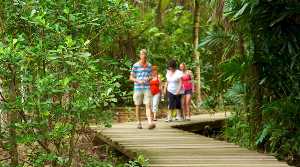 Pulau Ubin which includes forest scenes and hiking or walking as well as a small group of people