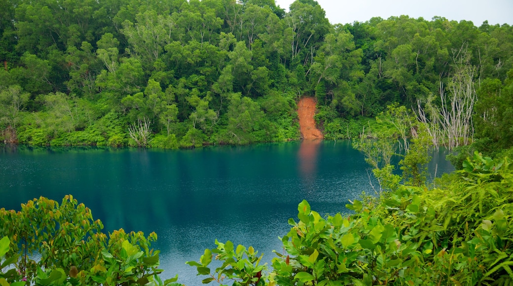 Pulau Ubin which includes island images, a lake or waterhole and forests