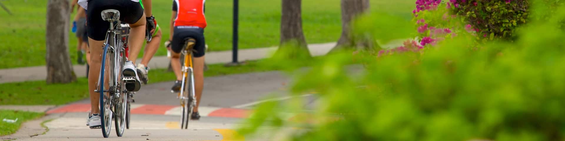 East Coast Park showing a garden, flowers and road cycling