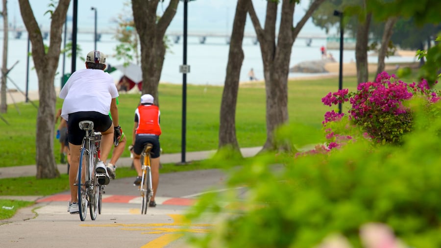 East Coast Park montrant jardin, fleurs et cyclisme sur route