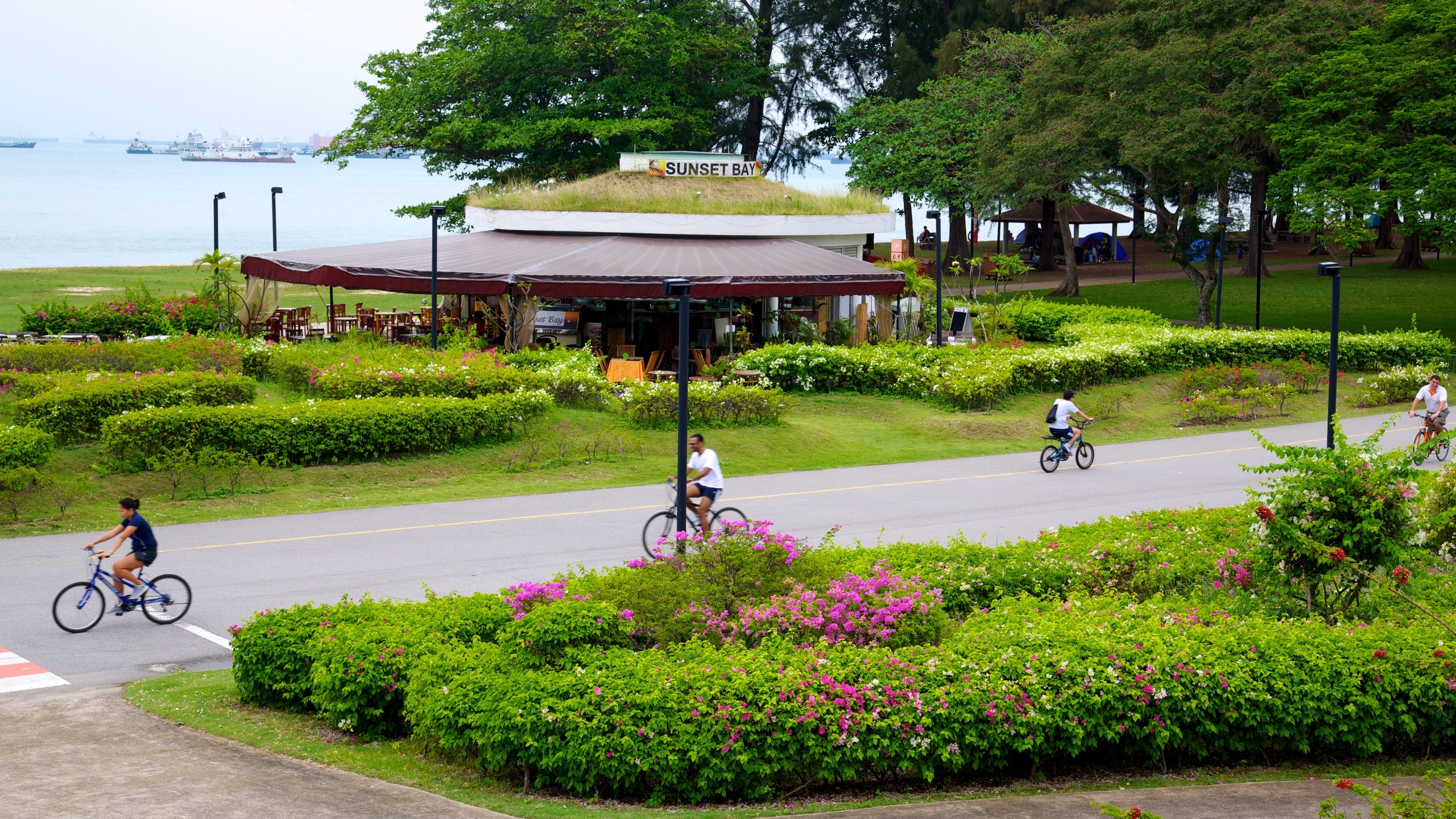 Visita Costa orientale: scopri il meglio di Costa orientale, Singapore