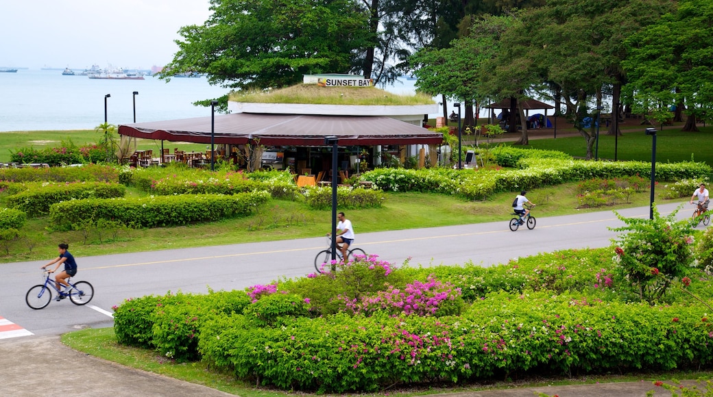 East Coast Park which includes general coastal views, a park and flowers