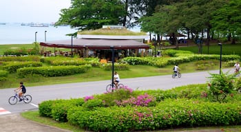 East Coast Park som inkluderar blommor, en park och kustutsikter