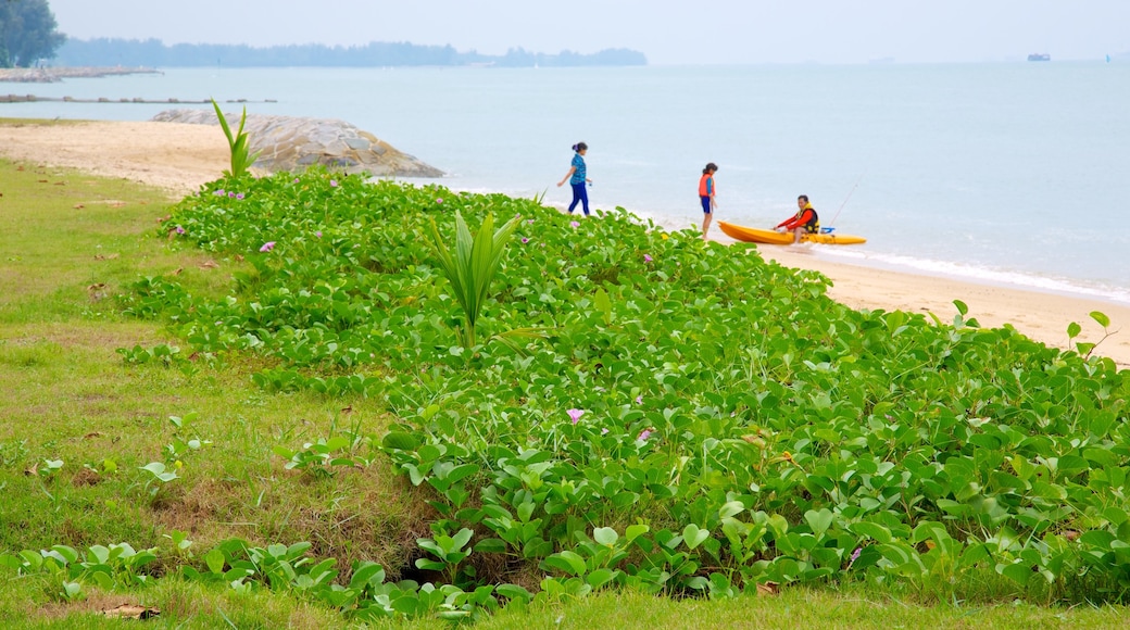 East Coast Park showing a beach