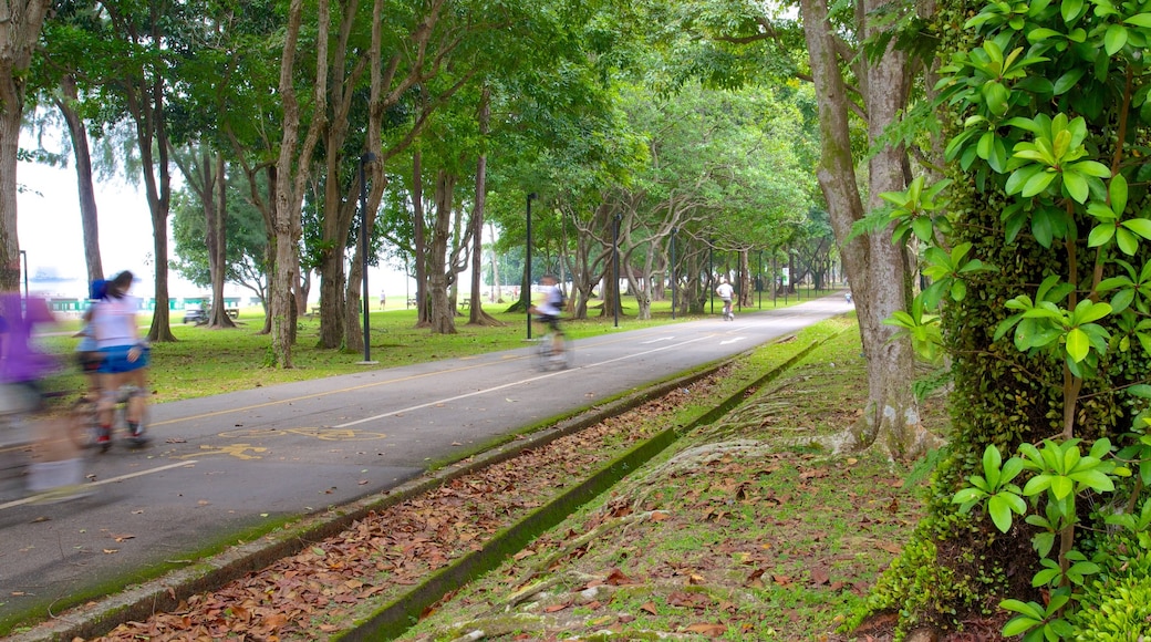 東海岸公園 其中包括 花園