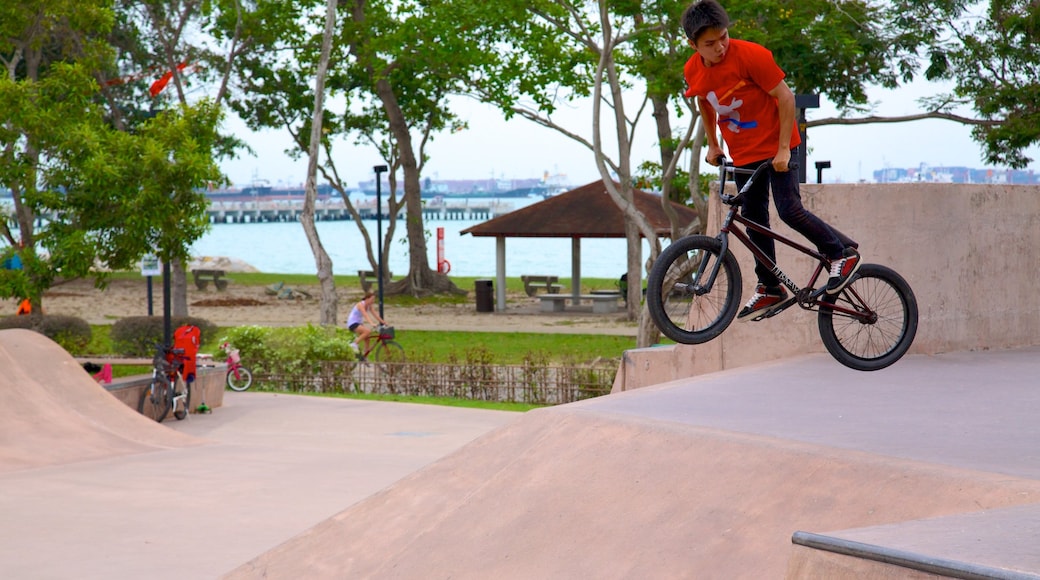 East Coast Park showing cycling and a park as well as an individual child