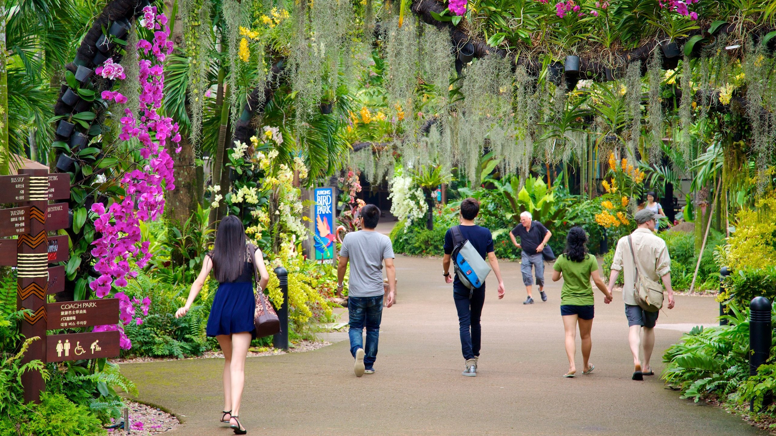 Jurong fuglepark som viser park, tropisk landskap og blomster