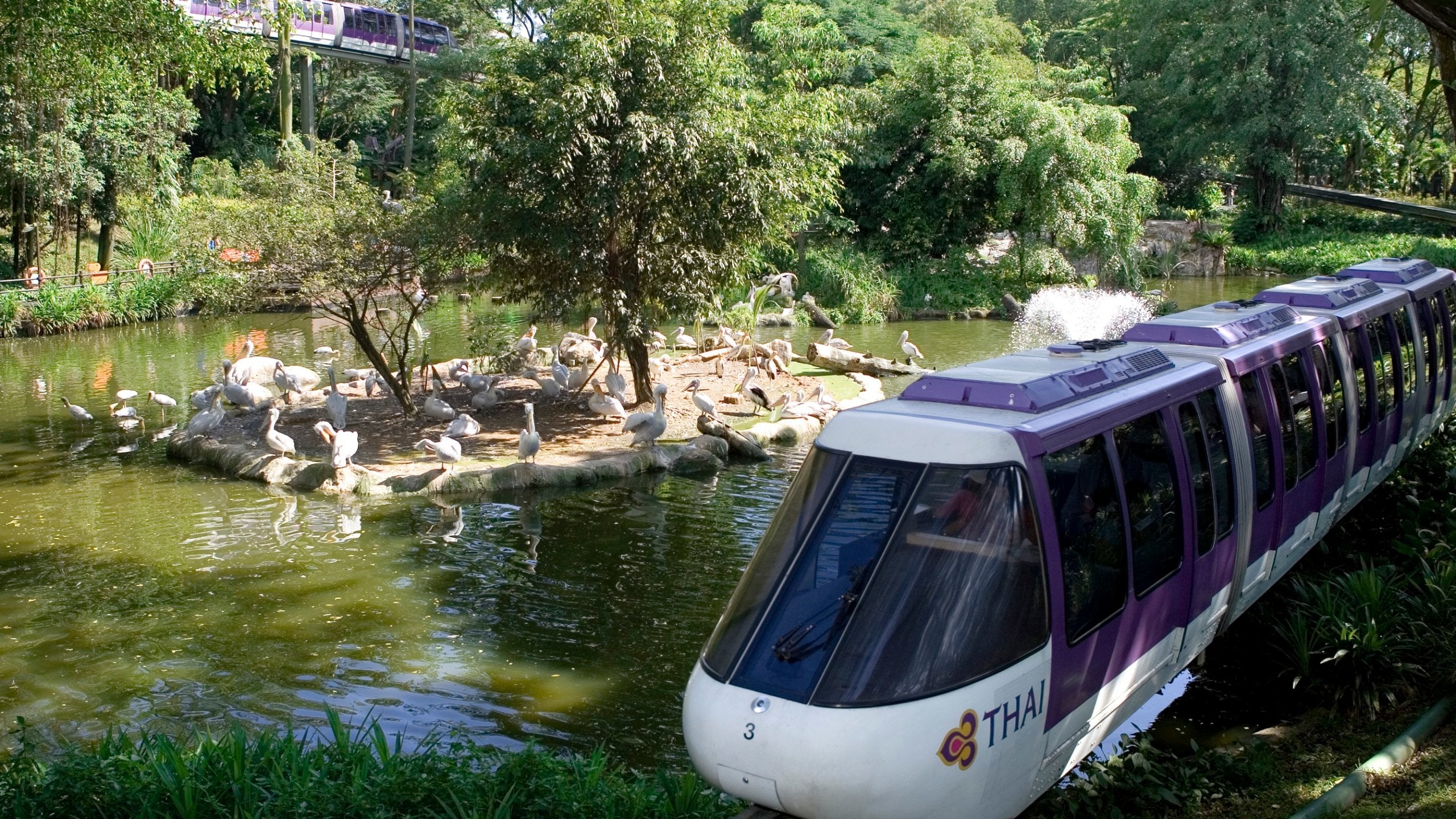 Jurong Bird Park, Singapore holiday from AU 111/night