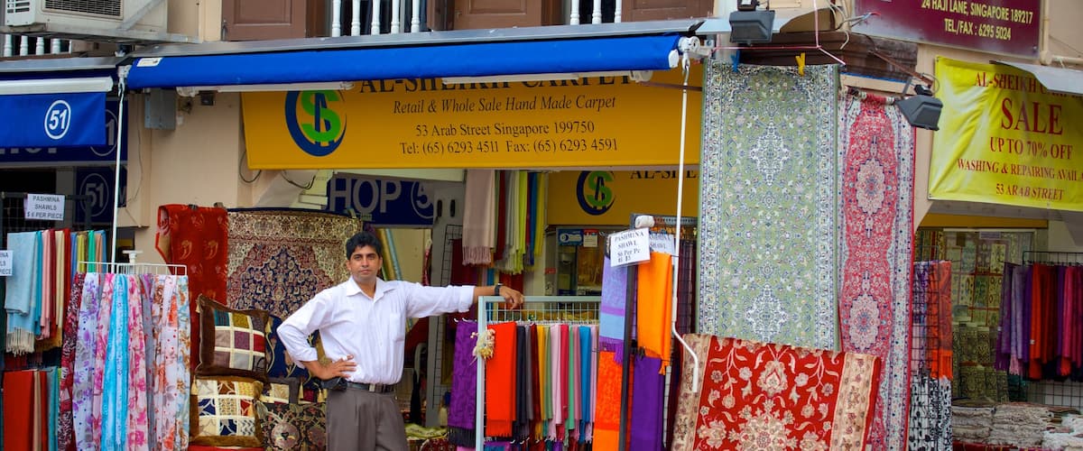 Arab Street District featuring shopping, signage and a city