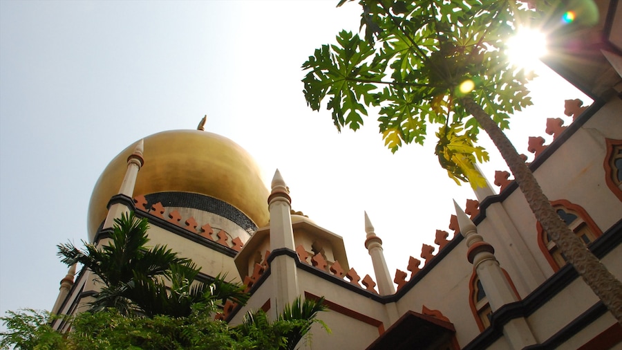 Arab Street District which includes religious elements, a mosque and heritage architecture