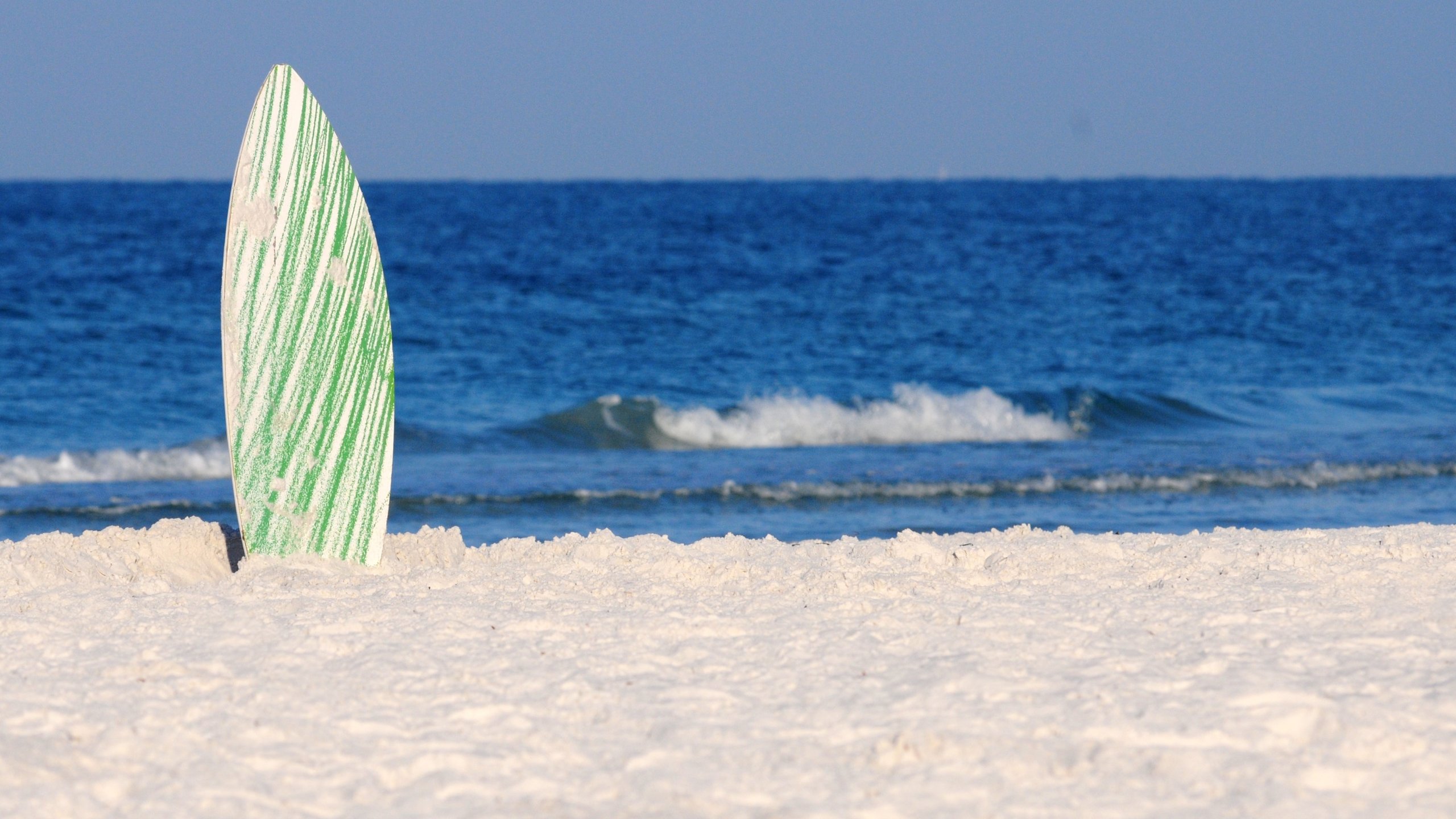 Siesta Key featuring waves