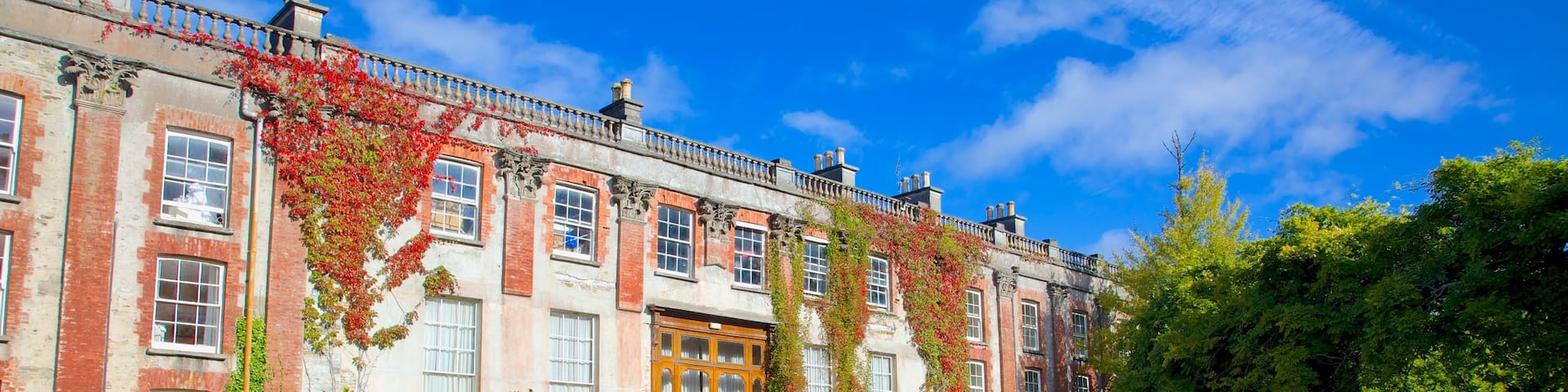 Bantry House featuring château or palace, a garden and heritage architecture