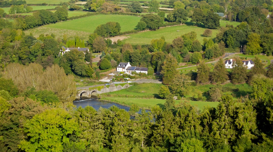 Irlanda que incluye una casa, tierras de cultivo y escenas tranquilas
