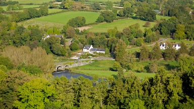 Ireland showing a small town or village, farmland and landscape views