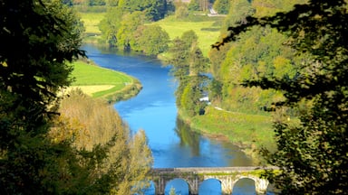 Inistioge qui includes panoramas, pont et rivière ou ruisseau