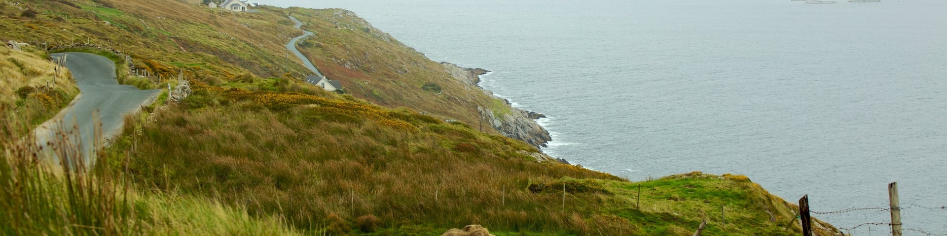 Clifden showing landscape views, tranquil scenes and mountains