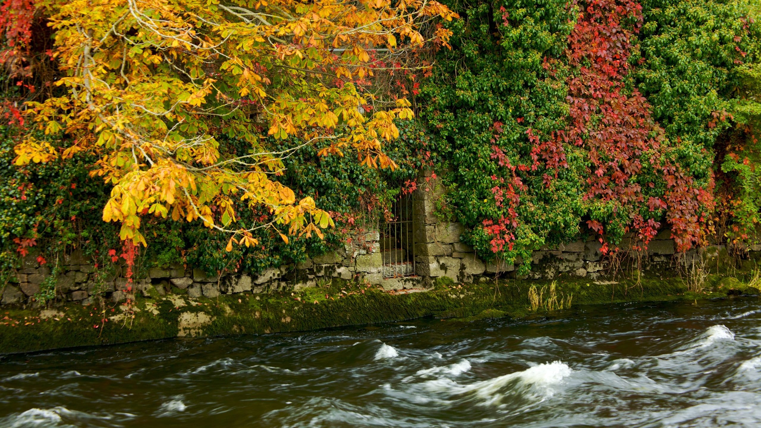 Galway featuring fall colors and a river or creek