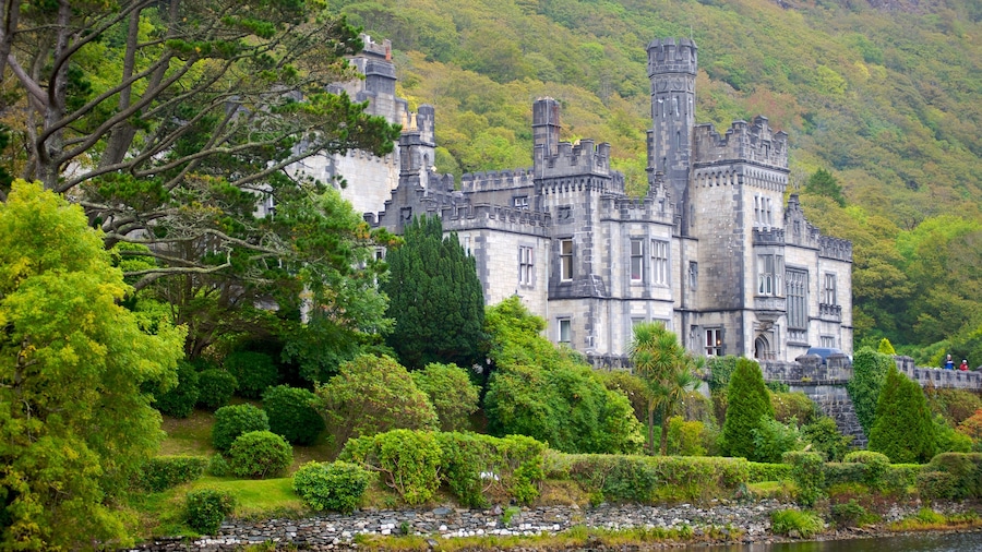 Galway que incluye patrimonio de arquitectura y un castillo