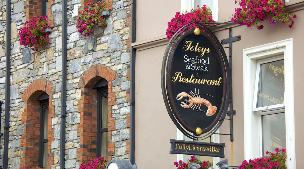 Killarney which includes signage