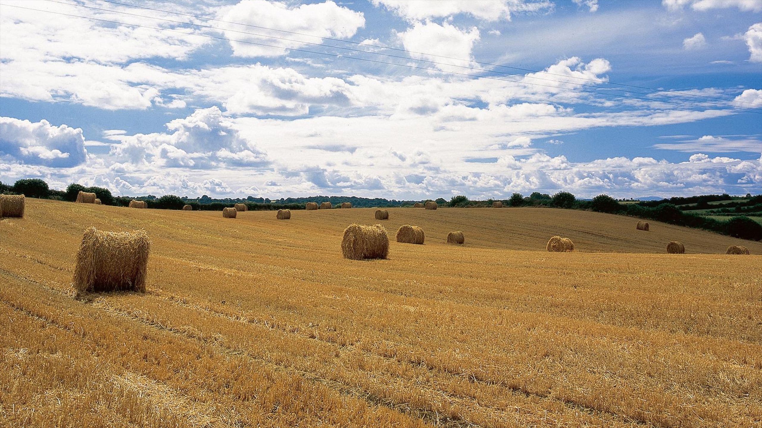 Kilkenny which includes landscape views and tranquil scenes