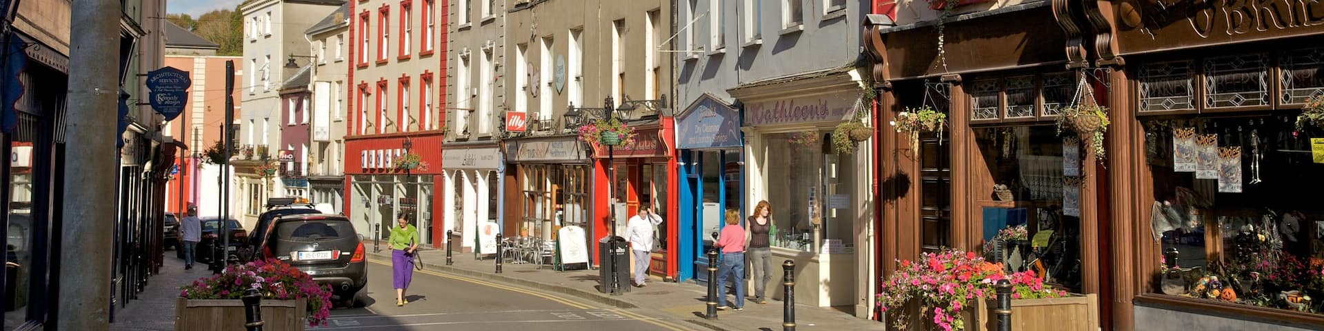 New Ross featuring a small town or village, street scenes and heritage architecture