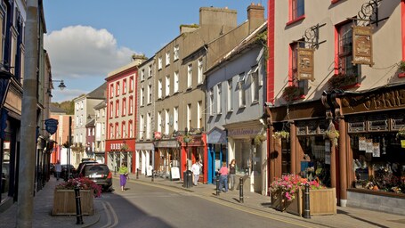 New Ross featuring a small town or village, street scenes and heritage architecture