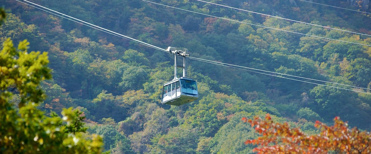 Parque Nacional Seorak-san que incluye vistas de paisajes, escenas forestales y montañas