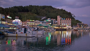 Sokcho som inkluderar skyline, båtkörning och en hamn eller havsbukt