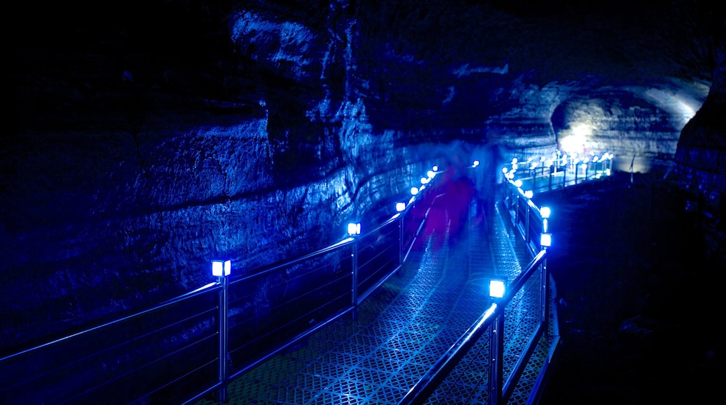 Manjanggul Lava-tube Cave which includes caves and caving