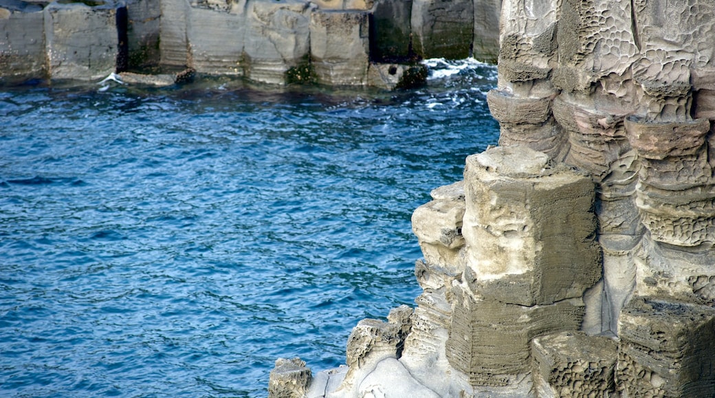 Jeju Island showing rocky coastline